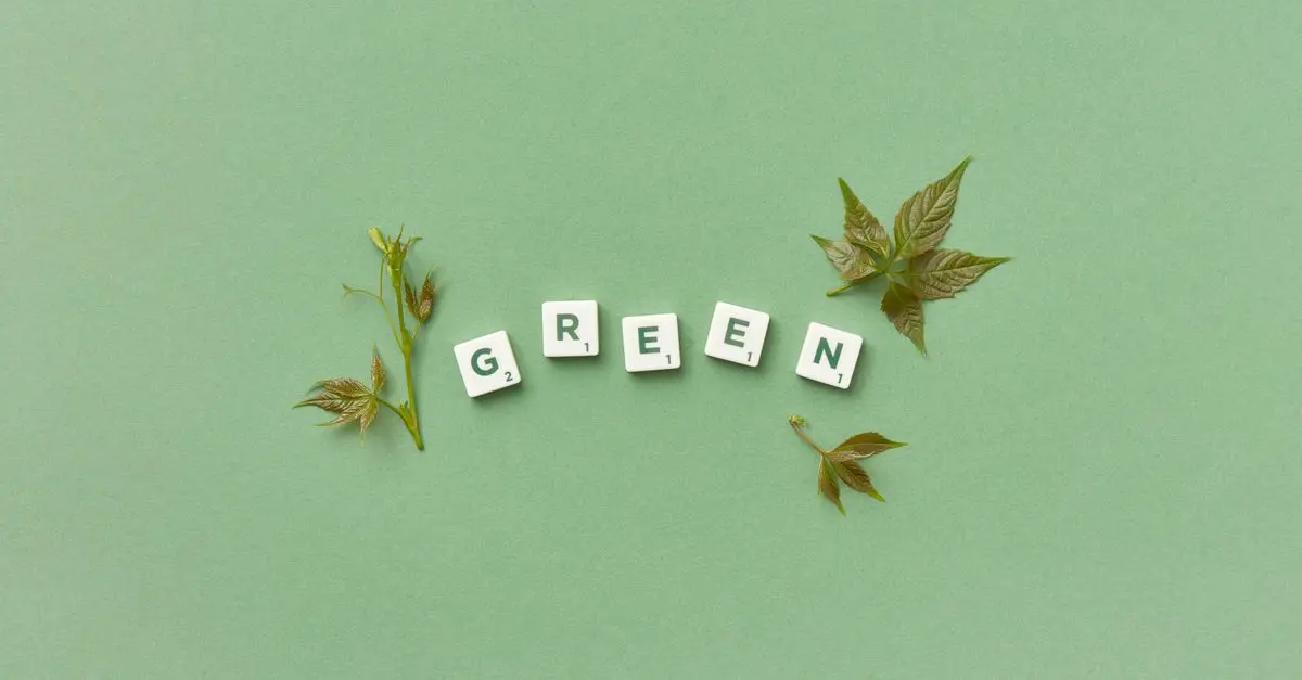 Guide d'achat : Cartouches Green au meilleur prix
